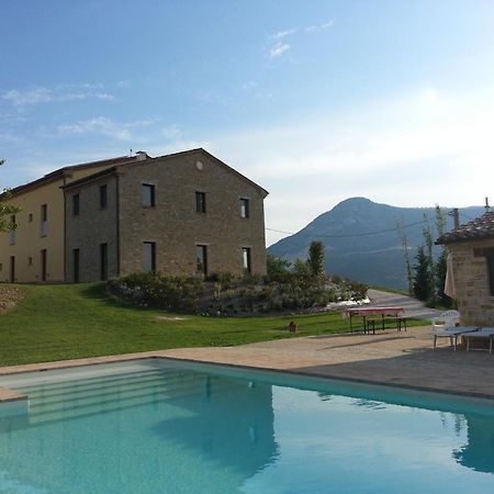 阿米克乡村住宿加早餐旅馆 Serra San Quirico 外观 照片