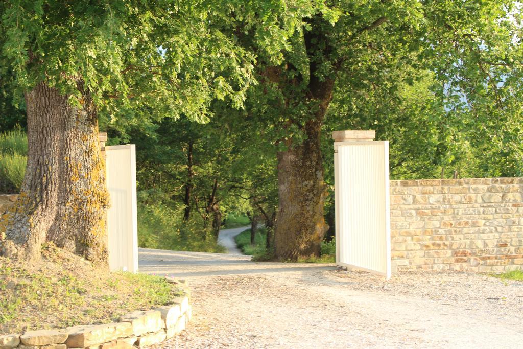 阿米克乡村住宿加早餐旅馆 Serra San Quirico 外观 照片
