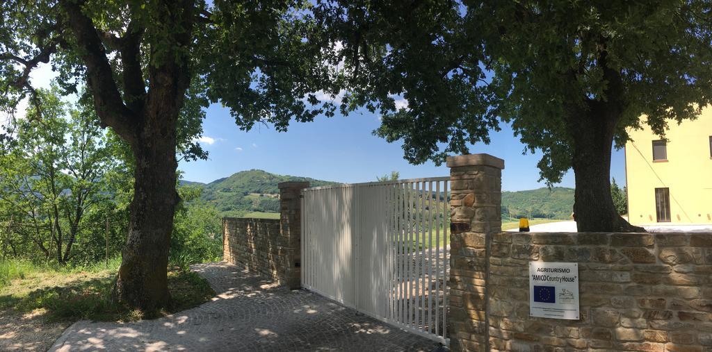 阿米克乡村住宿加早餐旅馆 Serra San Quirico 外观 照片
