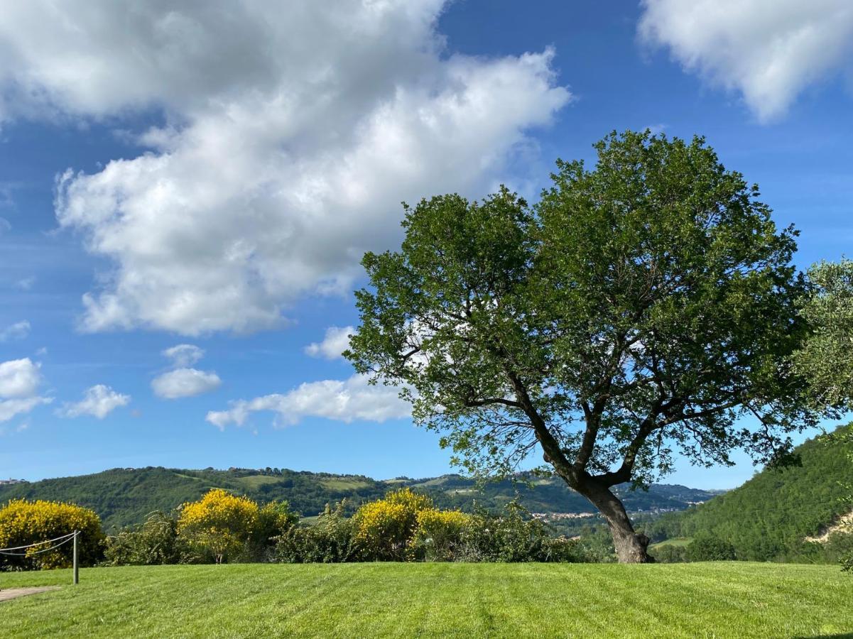 阿米克乡村住宿加早餐旅馆 Serra San Quirico 外观 照片